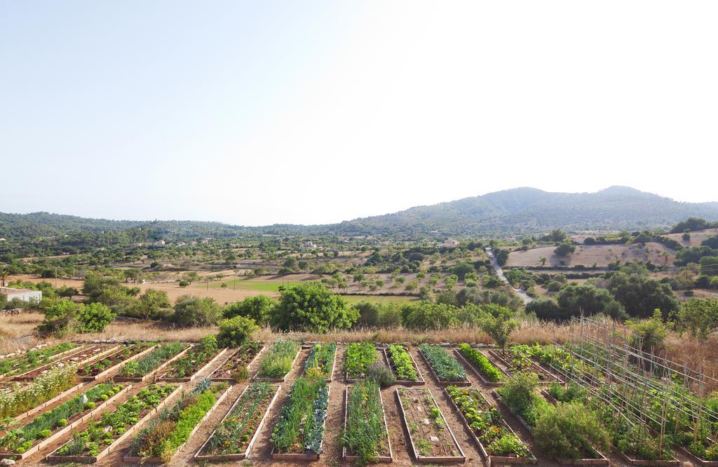 Agroturismo Ses Cases De Fetget (Adults Only) Son Servera  Luaran gambar