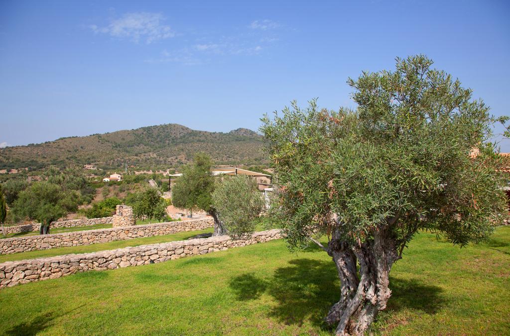 Agroturismo Ses Cases De Fetget (Adults Only) Son Servera  Luaran gambar